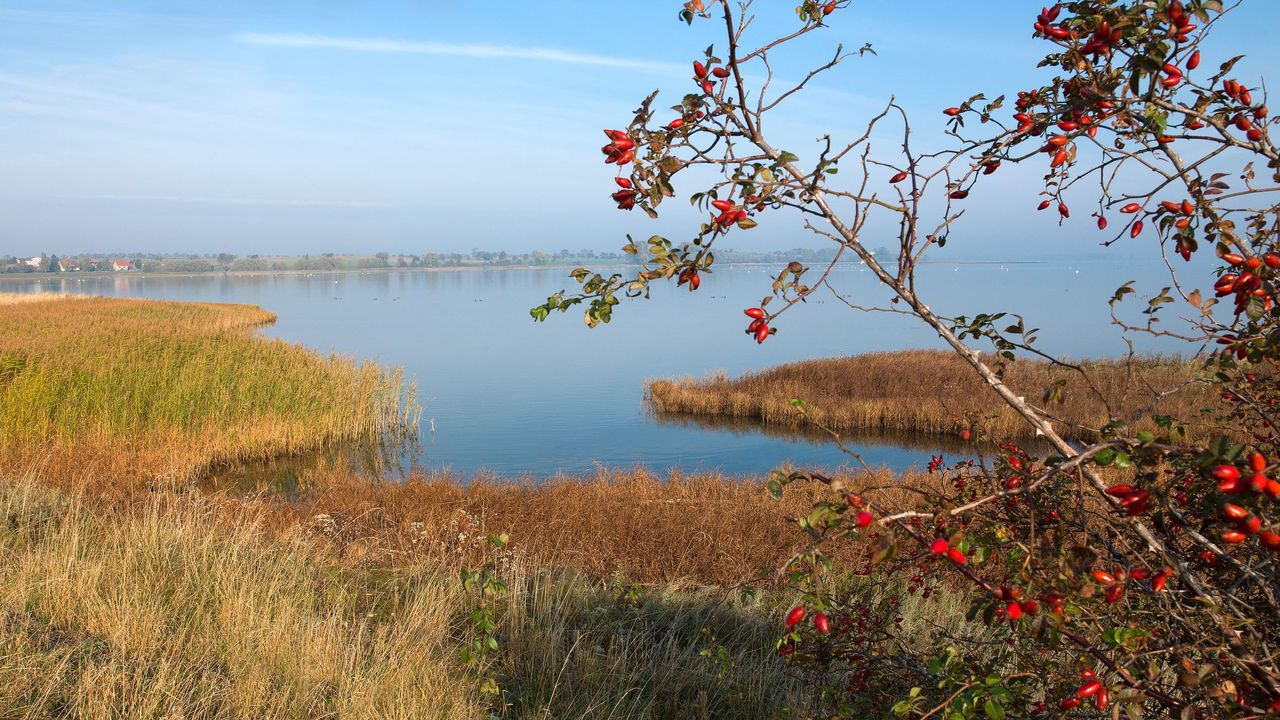 Landschaft Landschaft